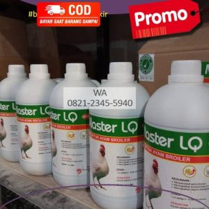 Vitamin Broiler di Karanglewas, Banyumas untuk Pertumbuhan