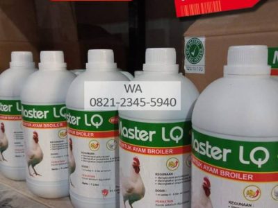 Vitamin Broiler di Karanglewas, Banyumas