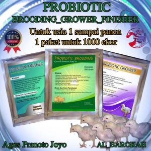 Vitamin Ayam Petelur di Purwodadi, Purworejo untuk Kesehatan Optimal