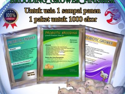 Vitamin Ayam Petelur di Purwodadi, Purworejo