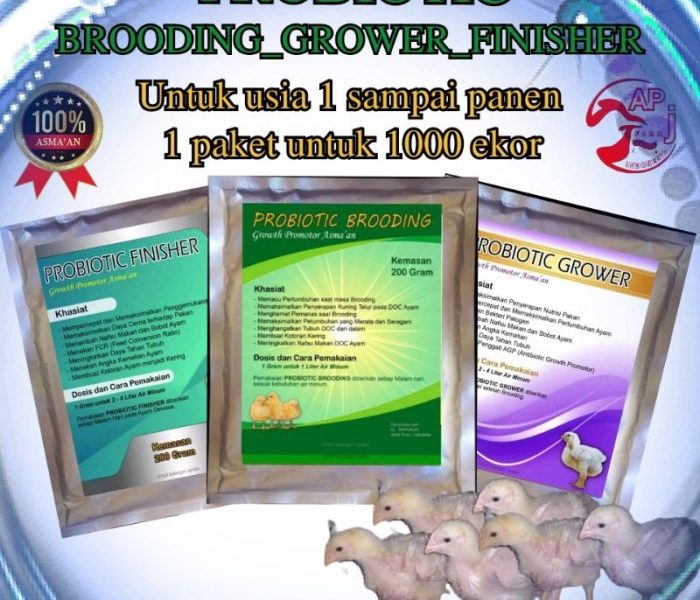 Vitamin Ayam Petelur di Purwodadi, Purworejo