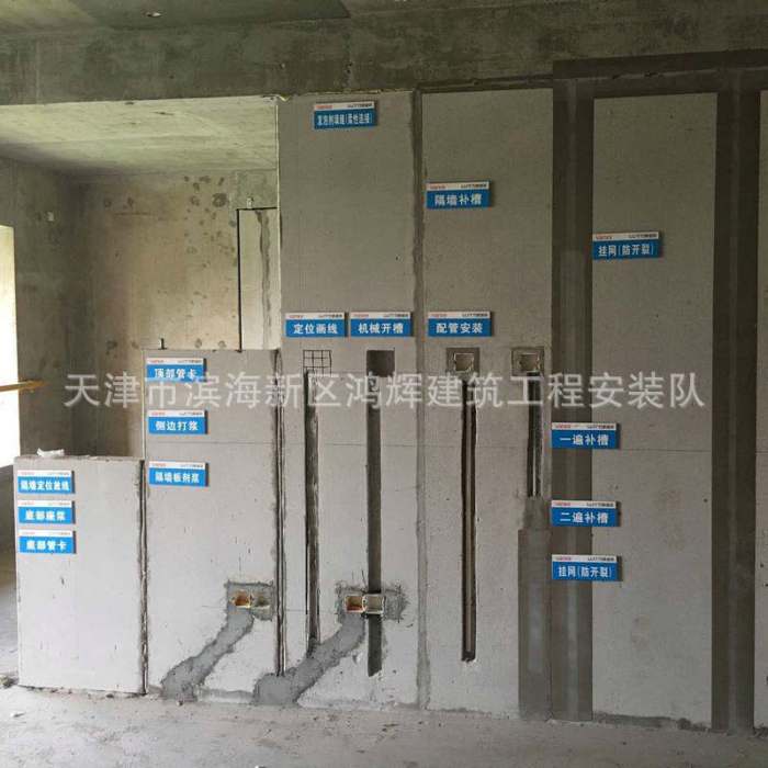 Diskusi Ayam Bangkok di Purwokerto Utara, Banyumas