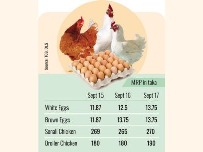 Harga Telur Ayam di Kembaran, Banyumas