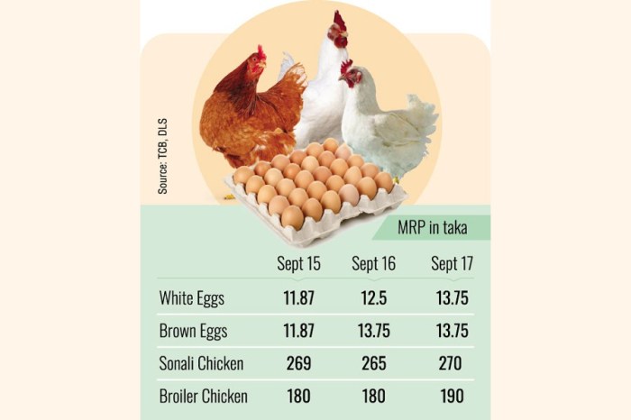 Harga Telur Ayam di Kembaran, Banyumas