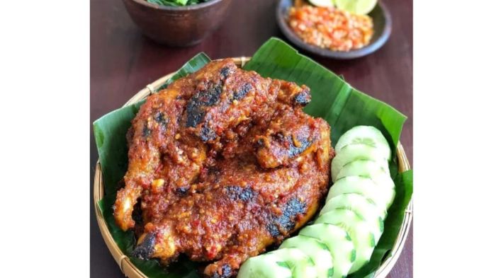 Tempat Minum Ayam di Bener, Purworejo