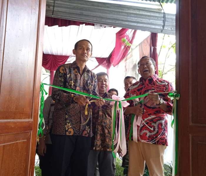 Ayam Bangkok Muda di Jatilawang, Banyumas