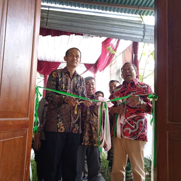 Ayam Bangkok Muda di Jatilawang, Banyumas