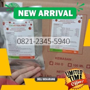 Vitamin Ayam Petelur di Purwojati, Banyumas Pentingnya