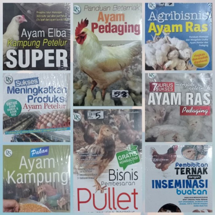DOC Ayam Petelur di Purwodadi, Purworejo