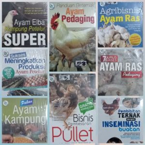 DOC Ayam Petelur di Purwodadi, Purworejo yang Menjanjikan
