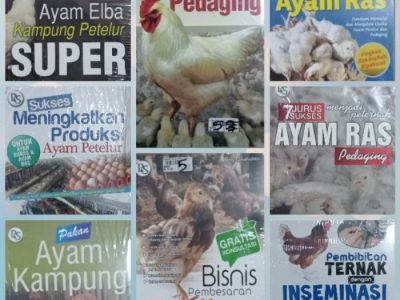 DOC Ayam Petelur di Purwodadi, Purworejo