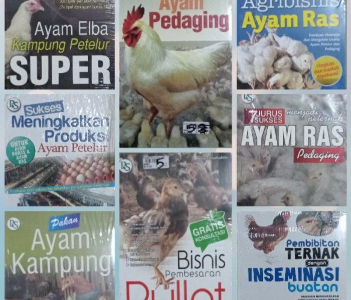 DOC Ayam Petelur di Purwodadi, Purworejo