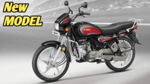Ayam Berak Darah di Gombong, Kebumen Penyebab dan Solusi