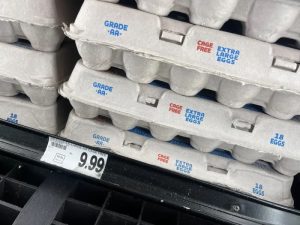 Harga Telur Hari Ini di Kutoarjo, Purworejo Terupdate