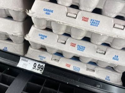 Harga Telur Hari Ini di Kutoarjo, Purworejo