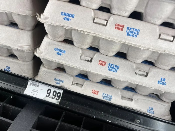 Harga Telur Hari Ini di Kutoarjo, Purworejo