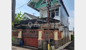Ayam Lumpuh di Purwokerto Timur Banyumas Mengguncang Peternakan