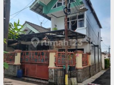 Ayam Lumpuh di Purwokerto Timur, Banyumas