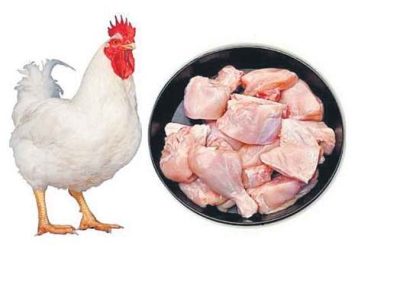 Harga Ayam Hari Ini di Karanglewas, Banyumas