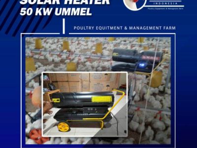 Pemanas DOC Ayam di Ambarawa, Semarang