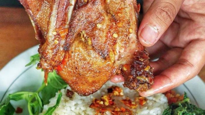 Ayam Tidak Mau Makan di Purwokerto Barat, Banyumas