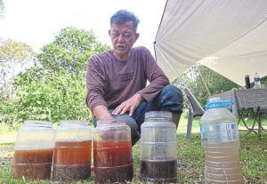 Pakan Fermentasi Ayam di Patikraja, Banyumas yang Berkualitas
