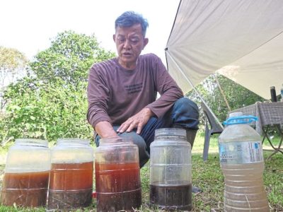 Pakan Fermentasi Ayam di Patikraja, Banyumas