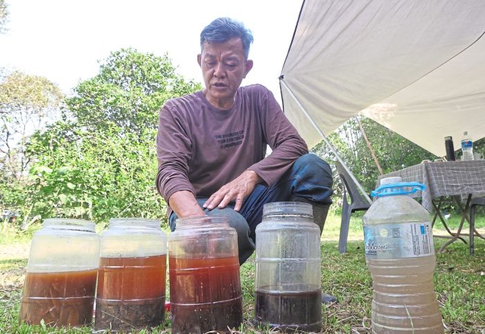 Pakan Fermentasi Ayam di Patikraja, Banyumas