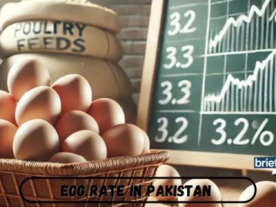 Harga Telur Ayam di Purwojati, Banyumas