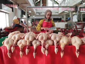 Harga Ayam Hari Ini di Loano, Purworejo Terkini