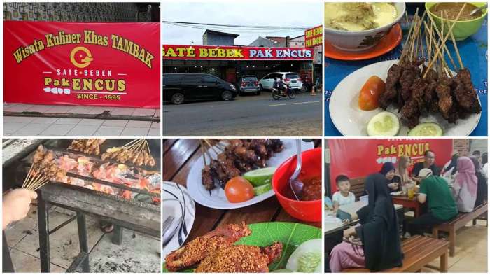 Ayam Bangkok Muda di Kebasen, Banyumas