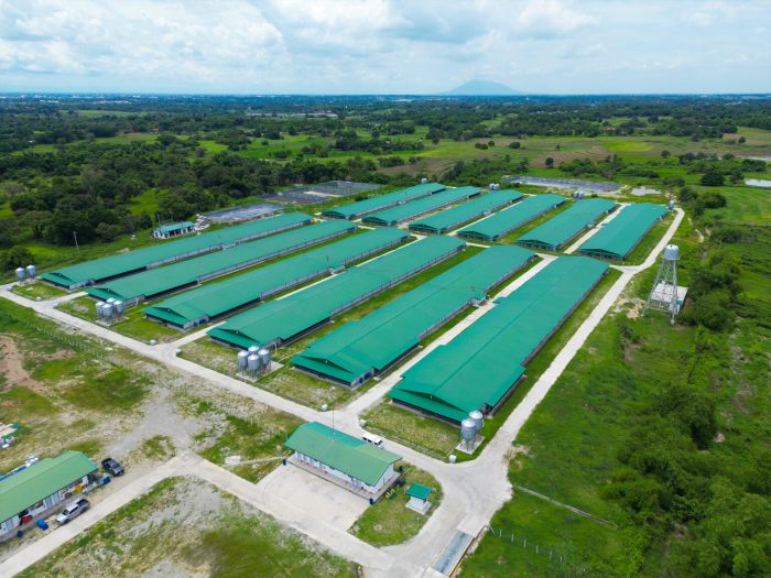 Grup Peternak Broiler di Lumbir, Banyumas