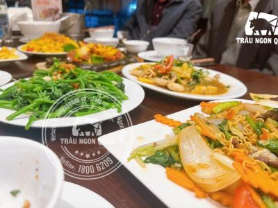 DOC Broiler Murah di Bener, Purworejo