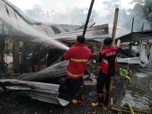 Ayam Mati Mendadak di Karanglewas, Banyumas Penyebab dan Dampaknya