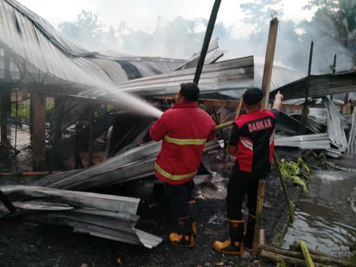 Ayam Mati Mendadak di Karanglewas, Banyumas