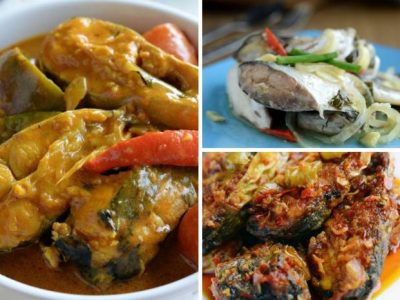 Ternak Ayam Broiler di Purwokerto Barat, Banyumas