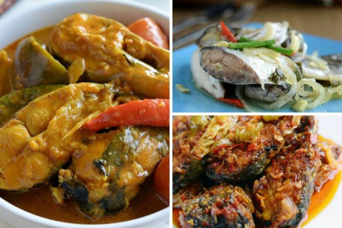 Ternak Ayam Broiler di Purwokerto Barat, Banyumas