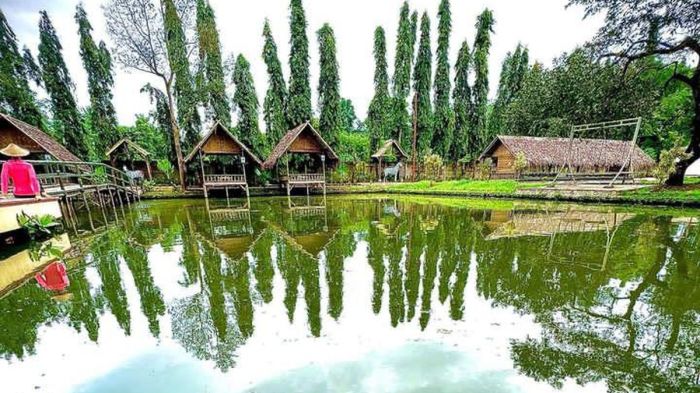 Ayam Berak Putih di Purworejo, Kabupaten Purworejo