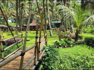 Komunitas Ayam Kampung di Cilongok, Banyumas
