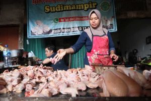 Harga Ayam Kampung di Gumelar, Banyumas Terjangkau dan Berkualitas