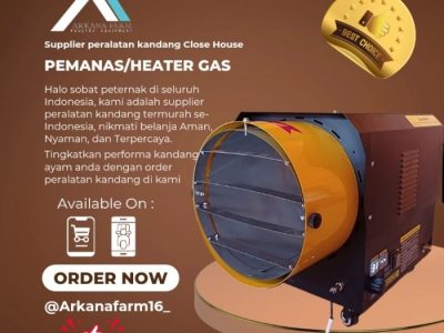 Pemanas DOC Ayam di Gombong, Kebumen