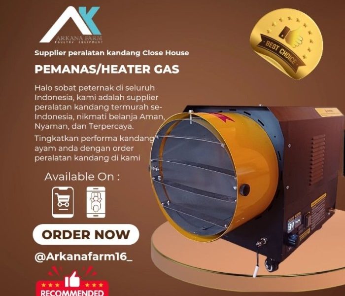 Pemanas DOC Ayam di Gombong, Kebumen