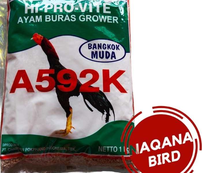 Pakan Ayam Bangkok di Kemiri, Purworejo
