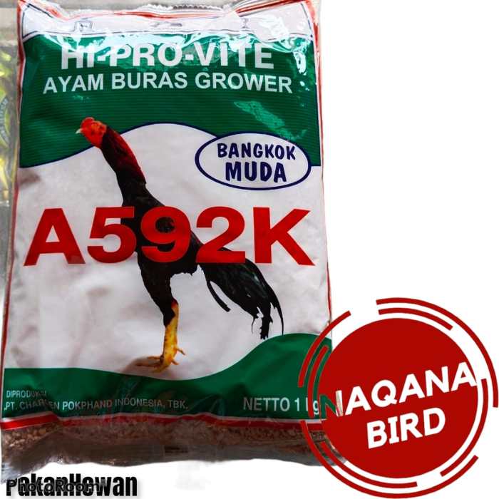 Pakan Ayam Bangkok di Kemiri, Purworejo