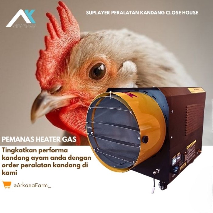 Pemanas DOC Ayam di Bayan, Purworejo