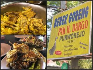 Ayam Lumpuh di Butuh, Purworejo dan Dampaknya