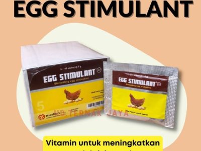 Vitamin Ayam Petelur di Puring, Kebumen