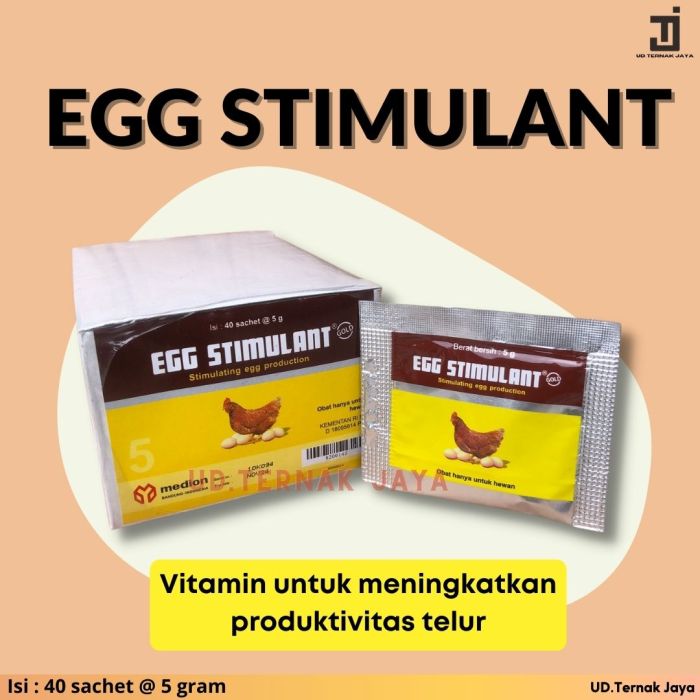 Vitamin Ayam Petelur di Puring, Kebumen
