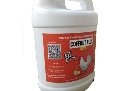 Obat Ayam Ngorok di Tambak, Banyumas