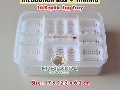 Mesin Penetas Telur di Gumelar, Banyumas